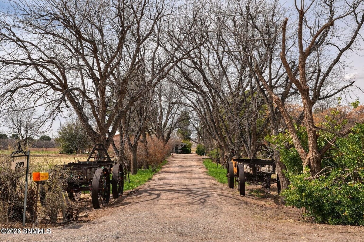 2090 Snow Road