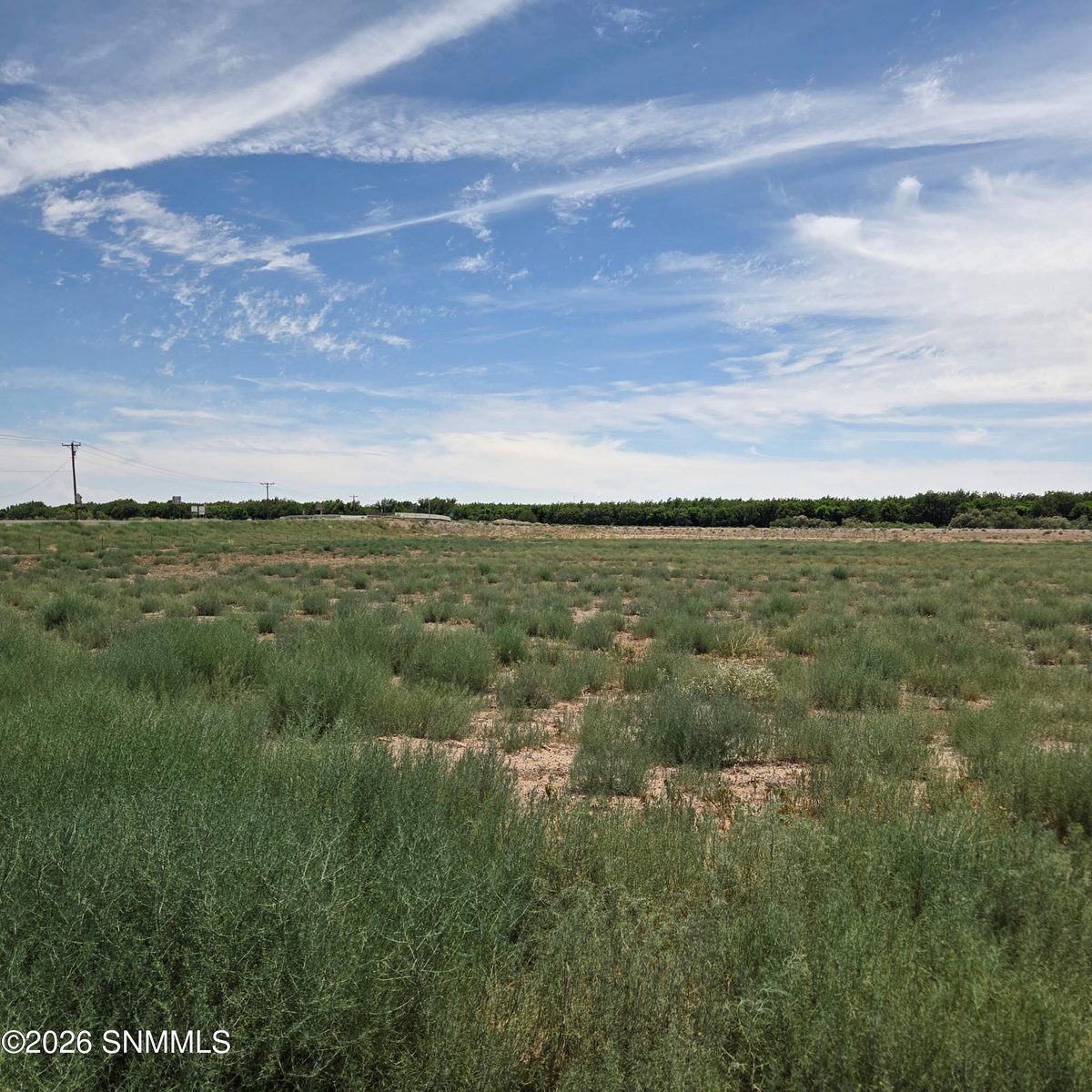 6525 Valle Del Rio Drive #2D