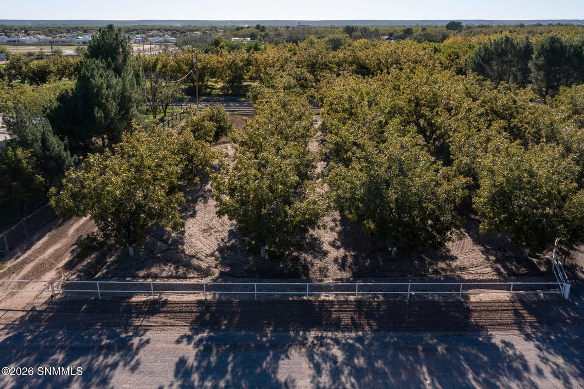 3992 Amistad Drive