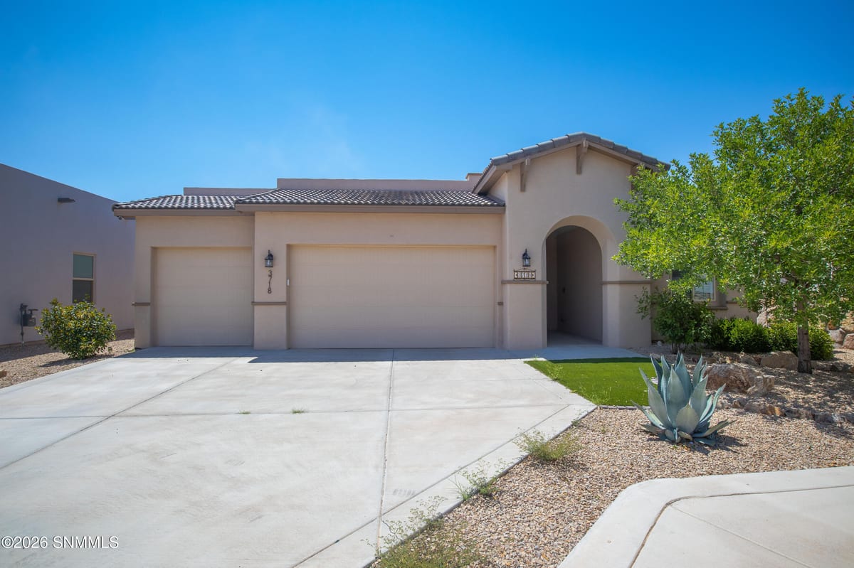 3718 Golden Echo Loop